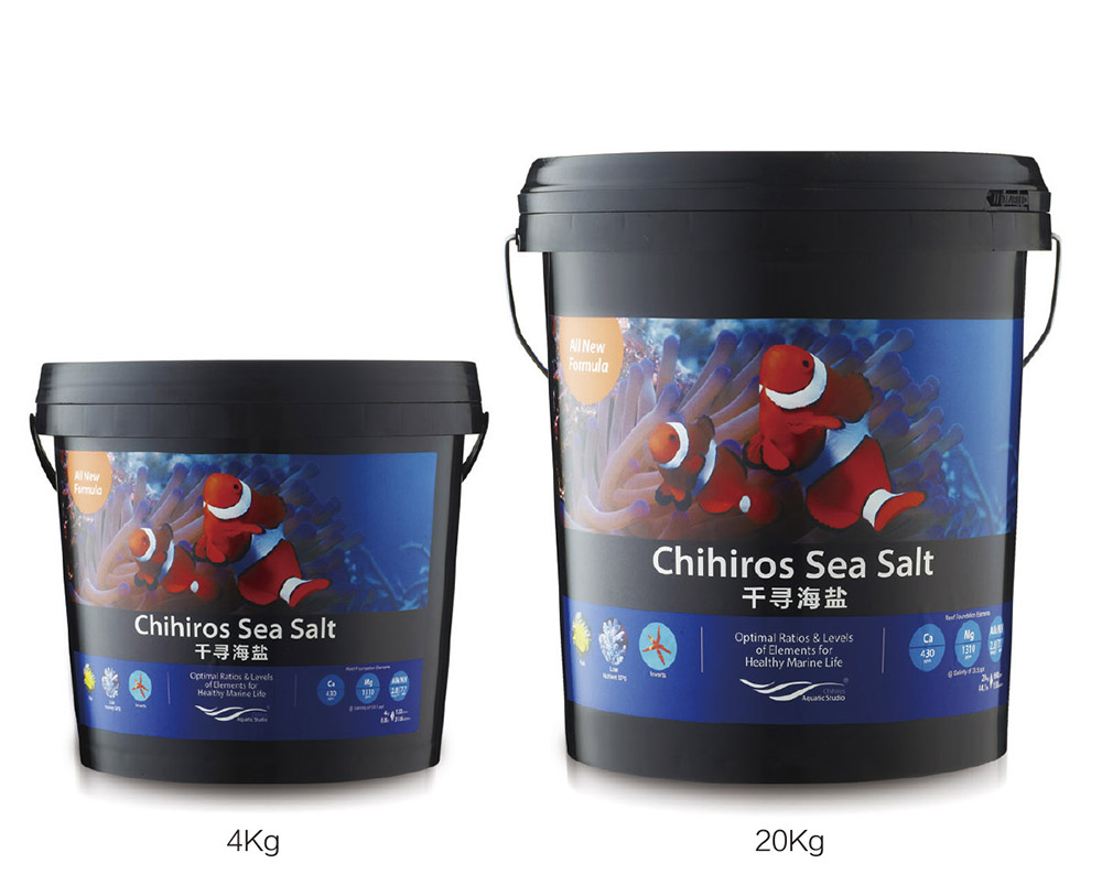 海盐  Sea Salt
