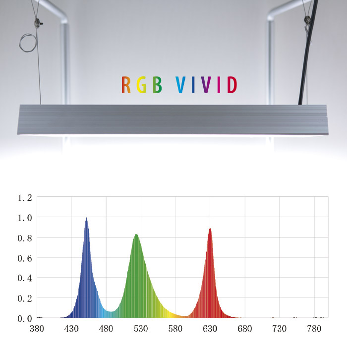 RGB VIVID 1